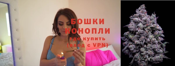 дурь Дмитриев