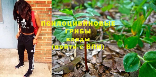 соль ск Пестово