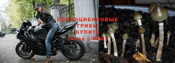винт Гусев