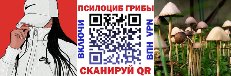 Псилоцибиновые грибы мицелий  цена   Свирск 